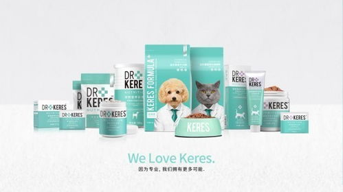 廣東寵物食品市場分析 中華網視角下的銷售趨勢與策略