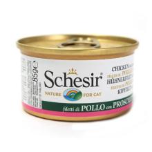 寵物食品銷售 趨勢、機遇與品牌制勝之道